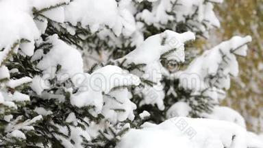 雪花飘落，大雪纷飞.. 冬季风景。 树木和雪